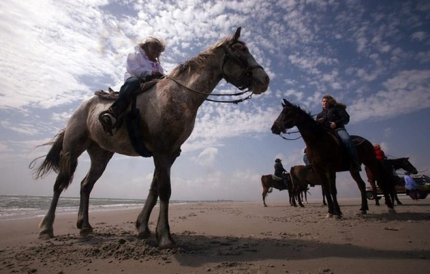 Agadir Horse Ride
