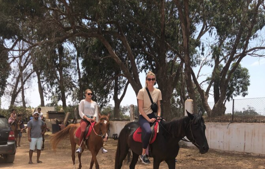 Agadir Horse Ride