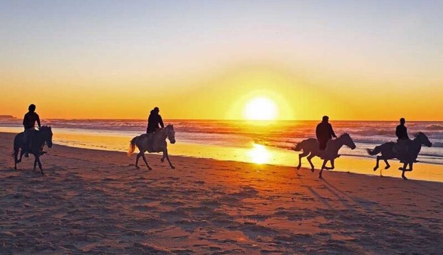 Tours & Activities - Things To Do in Agadir & Regions